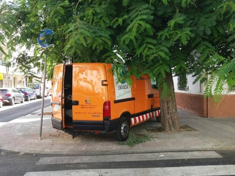 La Jungla urbana