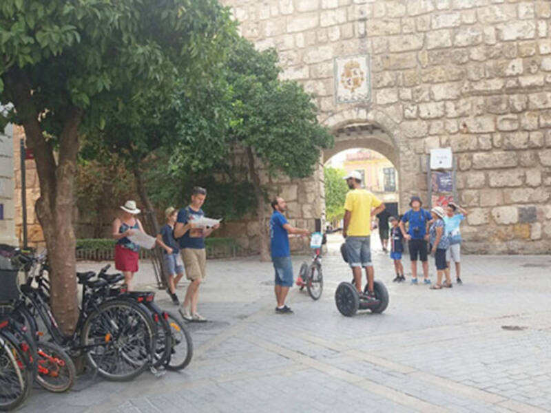 La actividad turística debe respetar el arbolado urbano.