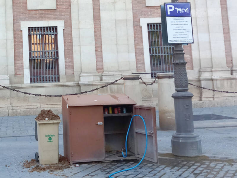 Los excrementos de caballo un problema de higiene que urge solucionar.
