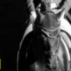 Celebrada la XV Final de las Pruebas de Selección de Caballos Jóvenes de Doma Clásica con una participación de 40 ejemplares