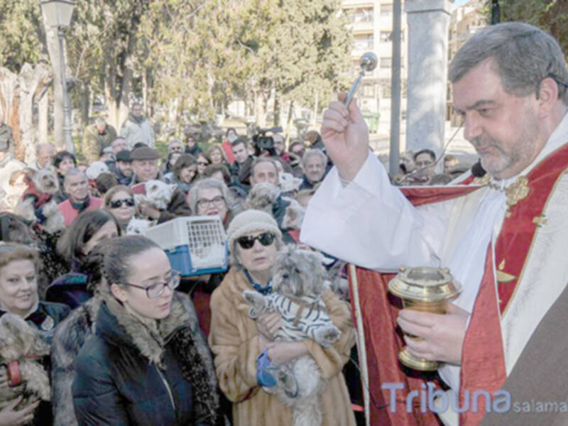 17 de enero, San Antón, el santo de los “animales”.