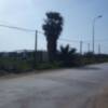 La Junta de Gobierno aprueba la declaración de incumplimiento que da paso al cambio del sistema de desarrollo del Sector 1 Tres Piedras