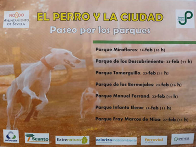 El Ayuntamiento de Sevilla promueve acciones dirigidas a los propietarios de perros.