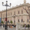 Deterioro del patrimonio verde de la ciudad.