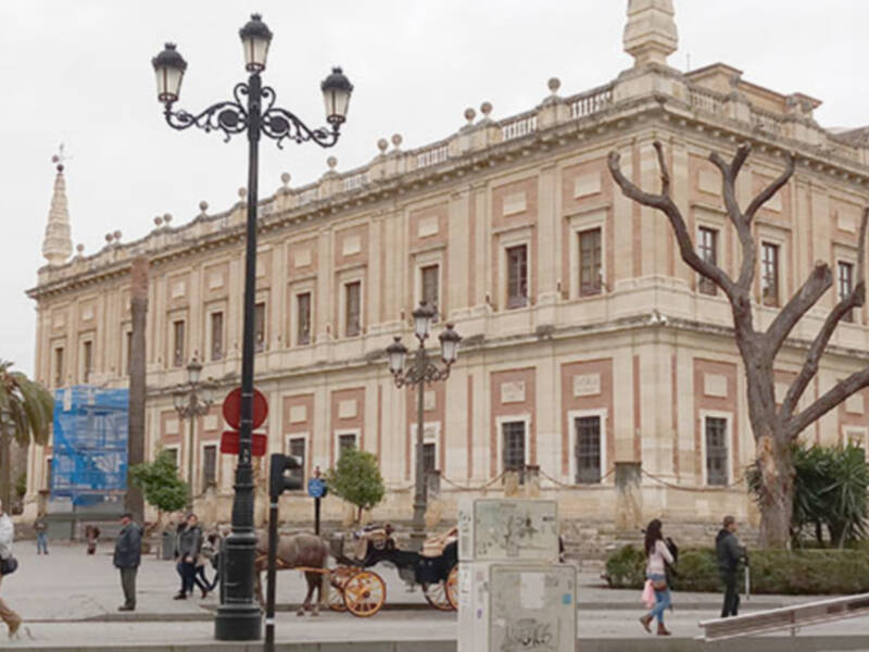 Deterioro del patrimonio verde de la ciudad.