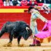 Los valencianos Jordi San José y Miguel Polope destacan en la apertura de Fallas