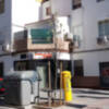 Florecen los “perales chinos” en las calles de Sevilla.