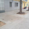 Casi el 50% de las calles del barrio de Los Remedios, presentan excrementos caninos en acerados.