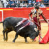Finito corta una oreja en el cierre de Fallas ante un buen encierro de Fuente Ymbro