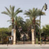 El Ayuntamiento de Sevilla poda las palmeras datileras de Los Jardines de la Buhaira.