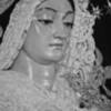 La Hermandad de la Soledad de Alcalá del Rio en Solemne Besamanos  de su Titular Mariana.