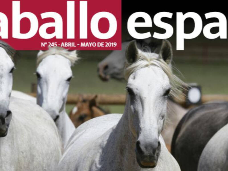 Novedad: ¡Lanzamos la primera revista digital El Caballo Español!
