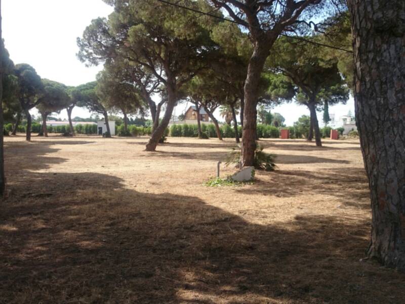 El Ayuntamiento de Chipiona recuerda la prohibición de hacer fuego en espacios forestales desde el 1 de junio hasta el 15 de octubre