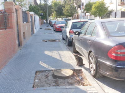 Los alcorques con tocones son un riesgo de accidente para los peatones que transitan a diario por acerados estrechos que son los más numerosos en Sevi