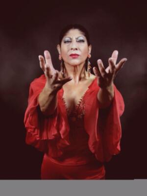 La Olavide convoca en sus cursos de verano "Aportación y visibilización de la mujer en el flamenco", los días 3, 4 y 5 de julio en Carmona