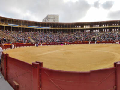Éxito de público y triunfo de Manuel Caballero que corta un rabo, Eloy Sánchez y el ganadero, Daniel Ramos