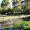 S.O.S. Parque de María Luisa, Sevilla.