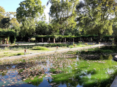 S.O.S. Parque de María Luisa, Sevilla.