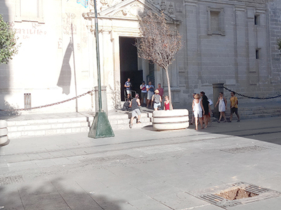 No solo hay que plantar árboles; hay que mantenerlos adecuadamente.