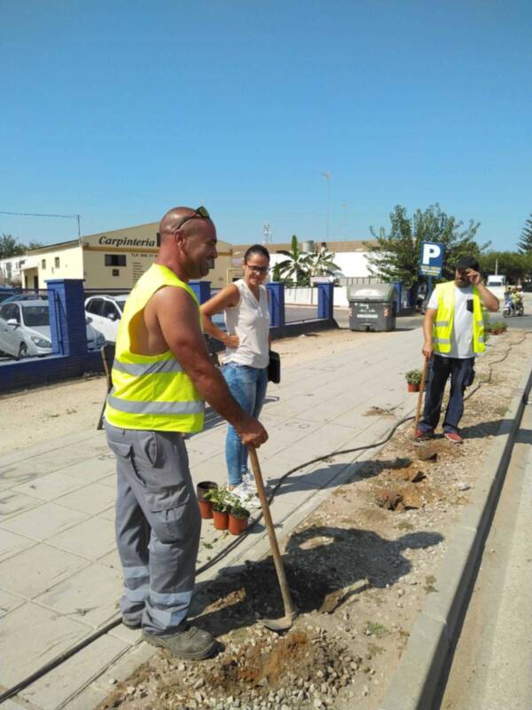 El Ayuntamiento de Chipiona comienza una actuación de mejora de las zonas ajardinadas de la entrada por la carretera de Sanlúcar