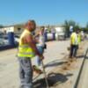 El Ayuntamiento de Chipiona comienza una actuación de mejora de las zonas ajardinadas de la entrada por la carretera de Sanlúcar