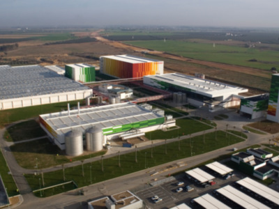 Iberdrola y Heineken firman una alianza que convertirá a la cervecera en la primera que elabora sus productos solo con energías renovables.