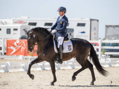 Celebrada la XVI Final de las Pruebas de Selección de Caballos Jóvenes de Doma Clásica con una participación de 67 ejemplares