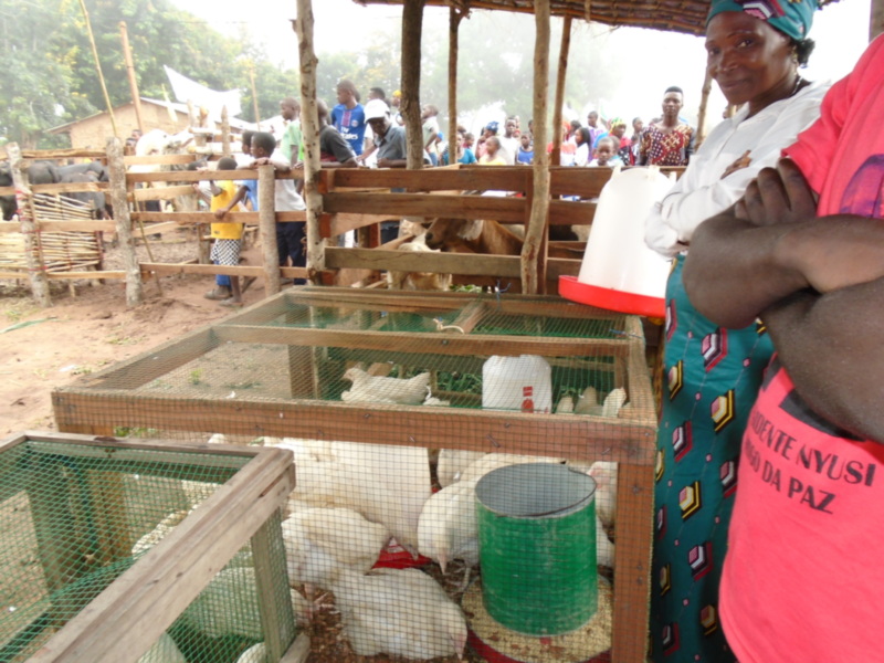 Madre Coraje y Diputación de Cádiz trabajan con 250 familias de una aldea de Mozambique en apoyo a una alimentación adecuada