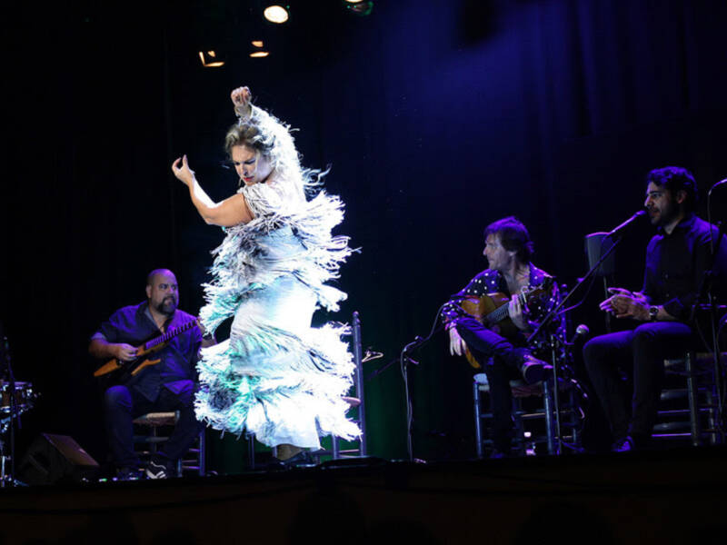 El "Foro Flamenco" de Canal Sur de noviembre ha celebrado el Día Mundial del Flamenco