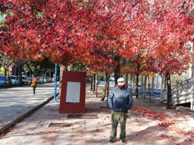El color que anuncia la llegada del invierno a Sevilla