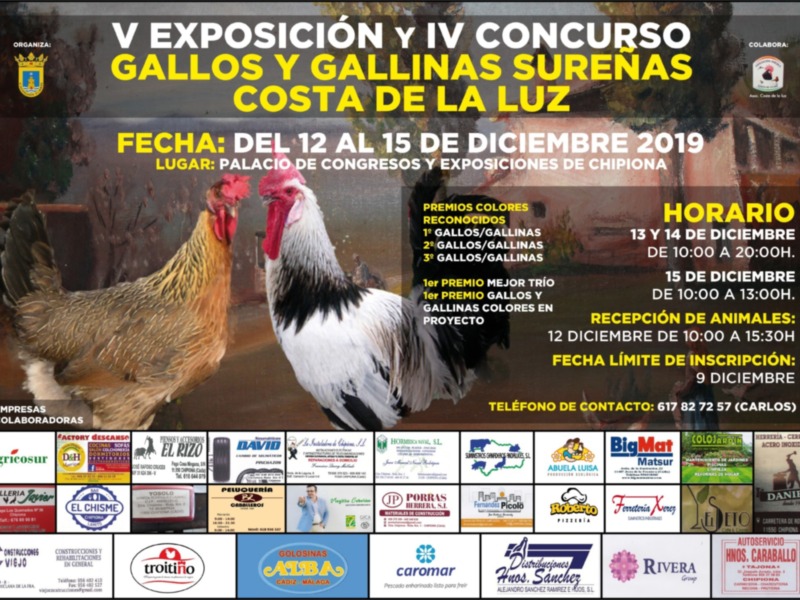 V Exposición y IV Concurso de Gallos y Gallinas Sureñas en la Costa de la Luz, del 12 al 15 de diciembre 2019 en el Palacio de Congresos y Exposiciones de Chipiona. Horario: 15 y 16 de diciembre, 10:00 a 20:00. Animales: 12 de diciembre, 10:00 a 15:30. Límite de inscripción: 9 de diciembre. Teléfono de contacto: 671827257 (Carlos).