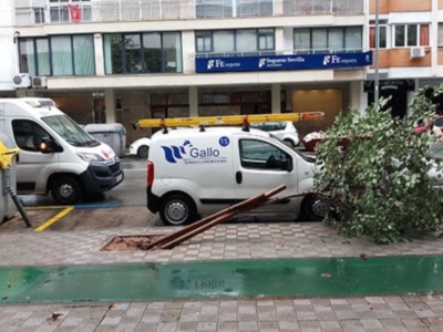 Elsa se pasea por Sevilla