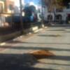 Retirados nueve olivos de la plaza de Andalucía que serán replantados en otros lugares de la población