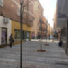 Plantación de Jaboneros en la calle Baños, en Sevilla