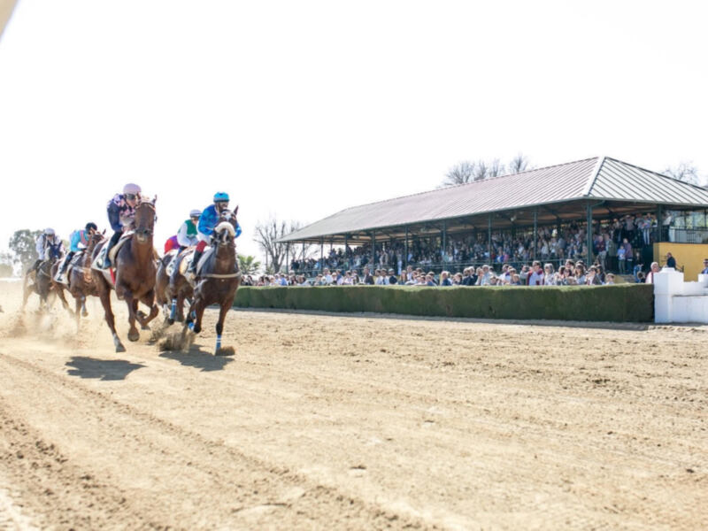 Arrancan las carreras de caballos en el hipódromo del Club Pineda