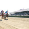 Arrancan las carreras de caballos en el hipódromo del Club Pineda