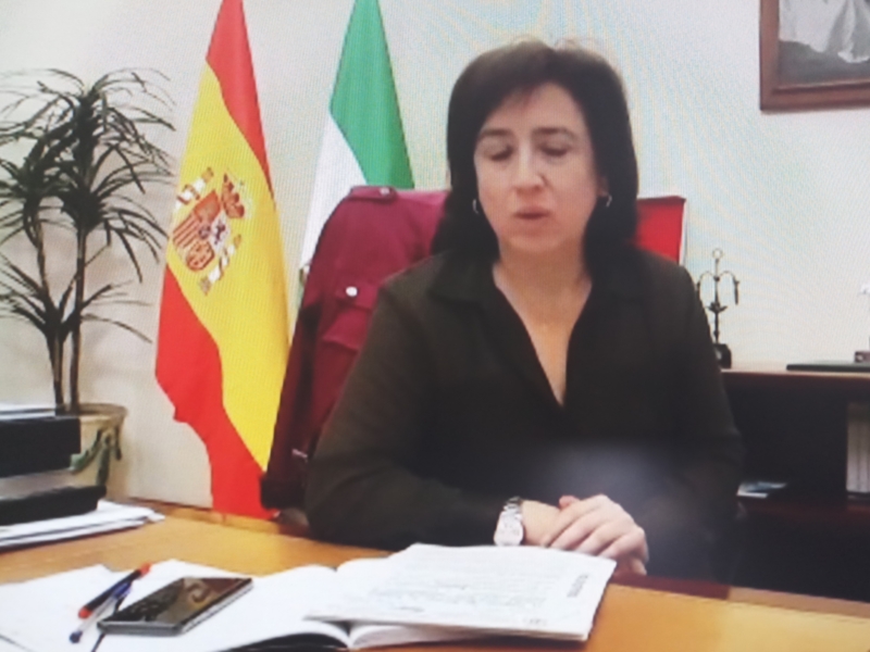 La Delegación del Gobierno en Andalucía refuerza el control terrestre y aéreo de carreteras andaluzas para evitar desplazamientos a 2ª residencias
