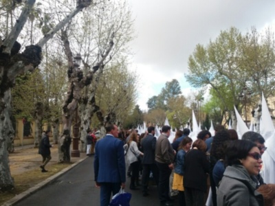Una procesión religiosa con personas vestidas de blanco y capuchas, caminando por una calle rodeada de árboles sin hojas.