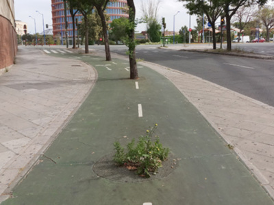 La ciudad se deteriora por falta de mantenimiento