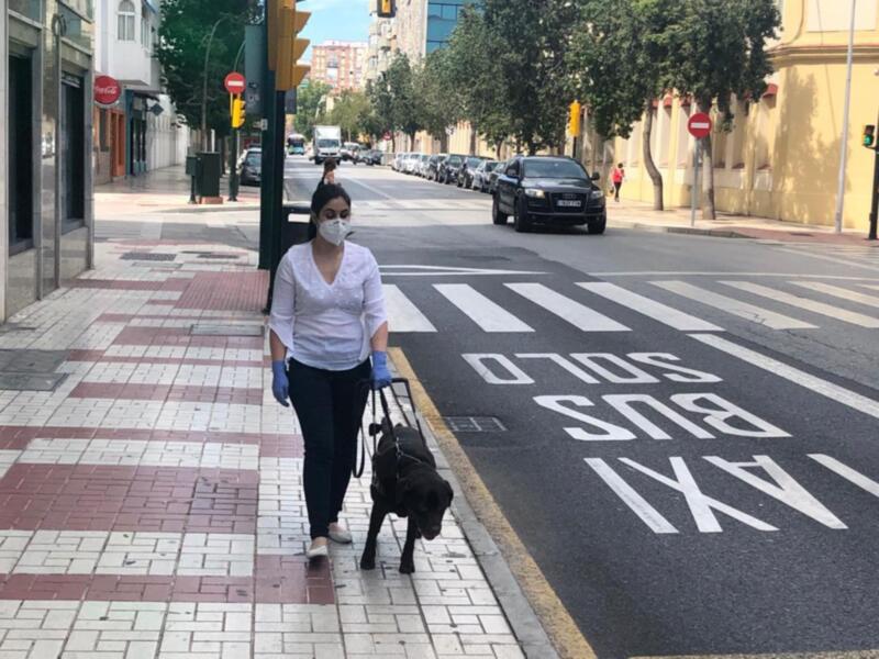 Una mujer camina con un perro guía por una calle urbana, con señalización de 'Taxi' y 'Solo' en el suelo.