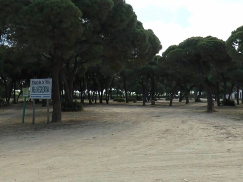 Medio Ambiente informa que desde hoy 1 de junio está prohibido hacer fuego en espacios forestales