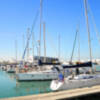 El puerto deportivo de Chipiona alcanza los veintitrés años consecutivos con la Bandera Azul de los Mares Limpios de Europa