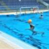 Reencuentro con Hytasa del Club Waterpolo Sevilla 