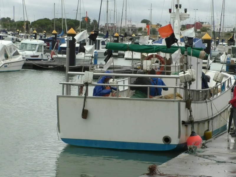 Agricultura y Pesca asesorará en la ayudas a la pesca y el marisqueo que acaban de publicarse