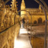 Nuevas visitas nocturna a la catedral de Sevilla desde el 1 de Julio.