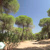 Ruta por Doñana y Sierra Nevada, en "Destino Andalucía"