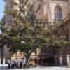 Sevilla y la nueva normalidad