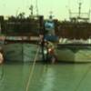 El Consejo Local de la Pesca de Chipiona retoma su actividad tras el parón provocado por la pandemia