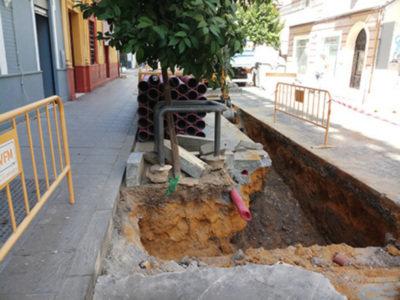 Las obras están afectando al arbolado de la ciudad.