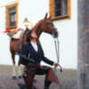 Morante de la Puebla, a caballo y de rodillas ante el Cristo de los Faroles de Córdoba